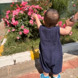 Dilara N. A.